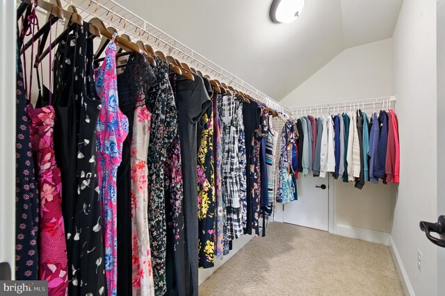 14894 Michele Dr, Glenelg, MD 21737 - spacious closet featuring lofted ceiling and carpet floors