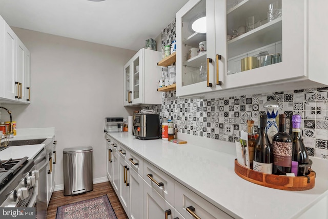1200 S Arlington Ridge Rd Unit 314, Arlington, VA 22202 - kitchen with dark wood-type flooring, tasteful backsplash, white cabinetry, light countertops, and glass insert cabinets