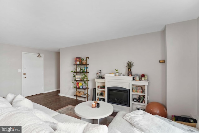 1200 S Arlington Ridge Rd Unit 314, Arlington, VA 22202 - living room with wood finished floors, a glass covered fireplace, and baseboards