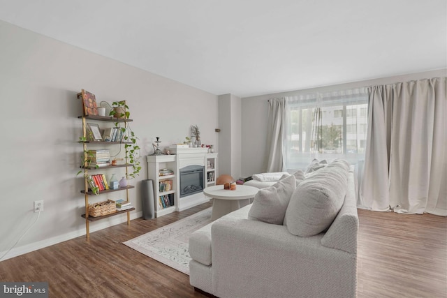 1200 S Arlington Ridge Rd Unit 314, Arlington, VA 22202 - living area featuring a glass covered fireplace, wood finished floors, and baseboards
