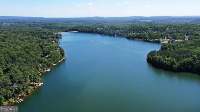 906 S Lakeview Dr, Cross Junction, VA 22625