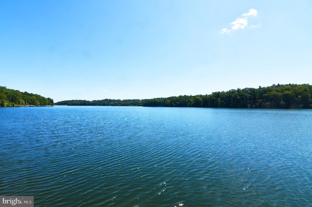 906 S Lakeview Dr, Cross Junction, VA 22625