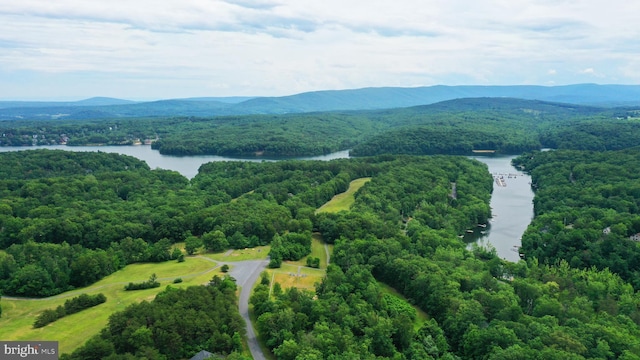 906 S Lakeview Dr, Cross Junction, VA 22625