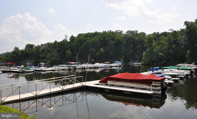 906 S Lakeview Dr, Cross Junction, VA 22625