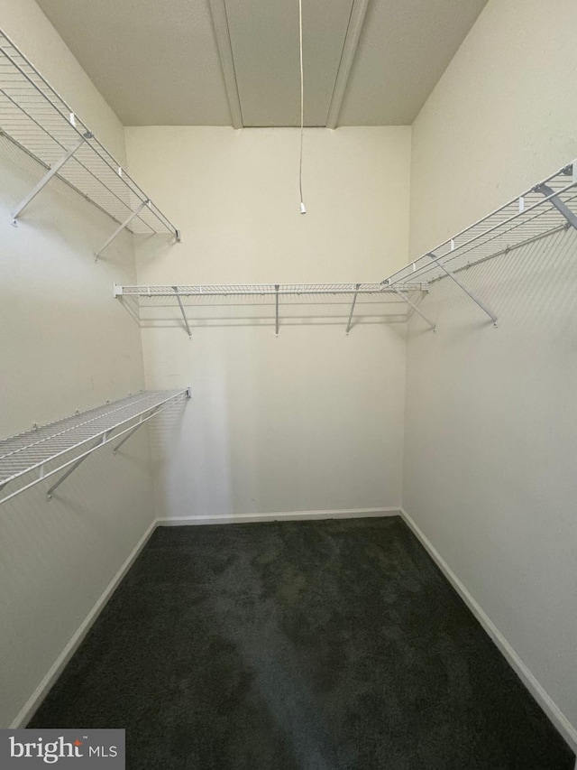 6 Sickler Ct, Sewell, NJ 08080 - spacious closet featuring attic access and carpet flooring