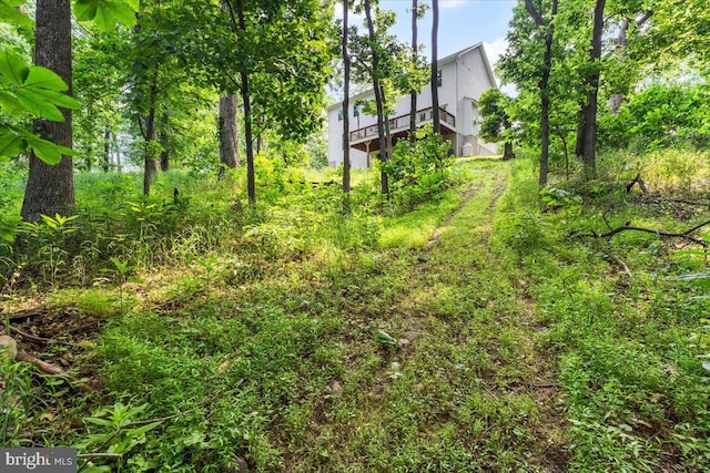 163 Hyde Park Ln, Charles Town, WV 25414 - view of yard