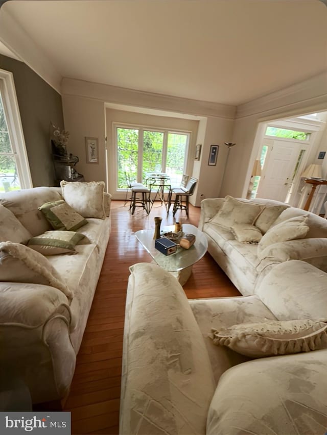 25 Forrest Hills Dr, Voorhees, NJ 08043 - living area featuring wood finished floors and healthy amount of natural light