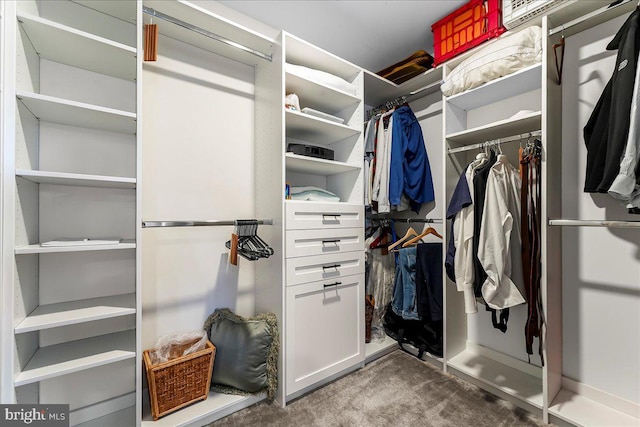 368 Star Tavern Ln, West Chester, PA 19382 - spacious closet featuring carpet floors