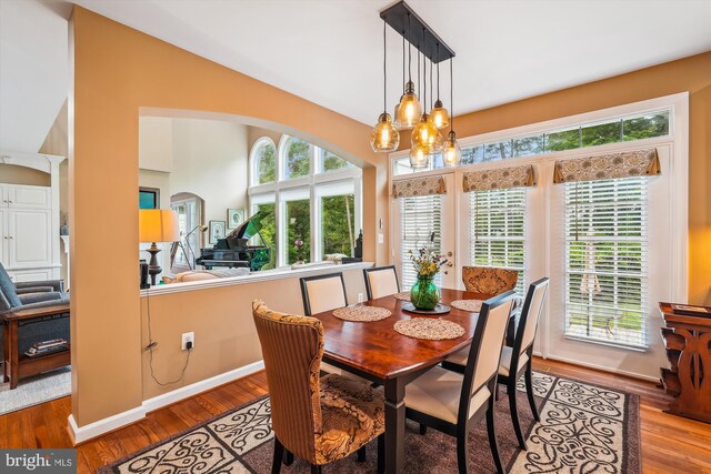18403 Rim Rock Cir, Leesburg, VA 20176 - dining space featuring healthy amount of natural light, wood finished floors, arched walkways, a chandelier, and lofted ceiling