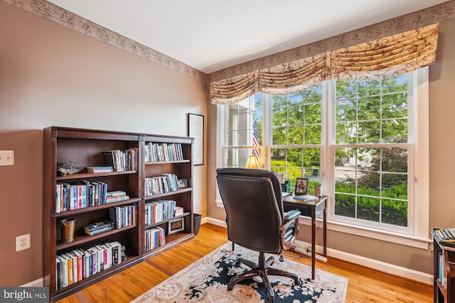 18403 Rim Rock Cir, Leesburg, VA 20176 - office with baseboards, plenty of natural light, and wood finished floors