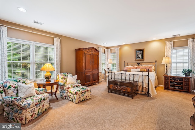18403 Rim Rock Cir, Leesburg, VA 20176 - bedroom featuring light carpet, multiple windows, and recessed lighting