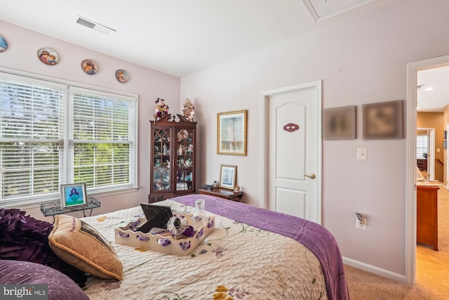 18403 Rim Rock Cir, Leesburg, VA 20176 - bedroom featuring light carpet, multiple windows, and baseboards