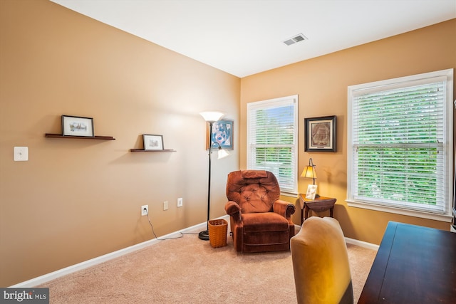 18403 Rim Rock Cir, Leesburg, VA 20176 - sitting room with carpet flooring, baseboards, and plenty of natural light