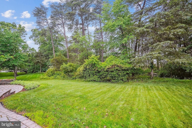 18403 Rim Rock Cir, Leesburg, VA 20176 - view of green lawn