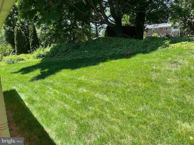 18 Bittersweet Dr, Hagerstown, MD 21740 - view of grassy yard