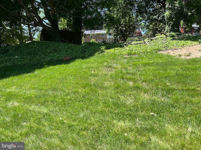 18 Bittersweet Dr, Hagerstown, MD 21740 - view of green lawn
