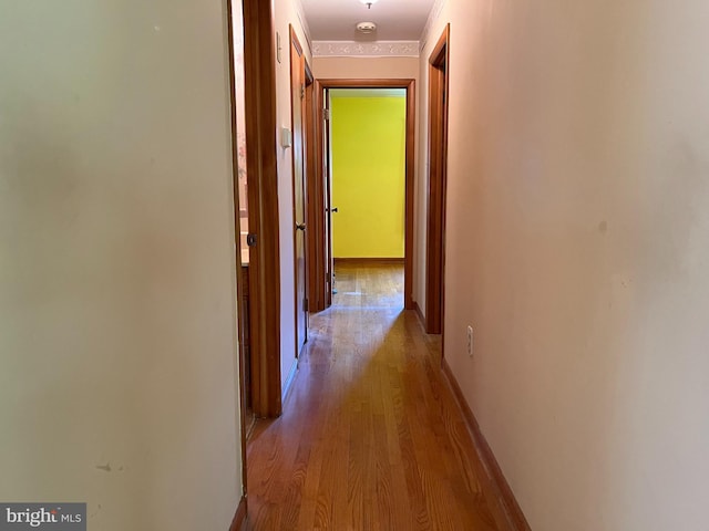 18 Bittersweet Dr, Hagerstown, MD 21740 - hall with wood finished floors and baseboards