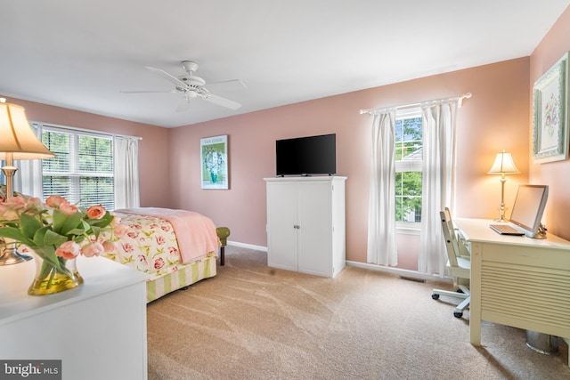 129 Bridle Path Dr, Egg Harbor Township, NJ 08234 - bedroom featuring multiple windows, carpet, and an office area