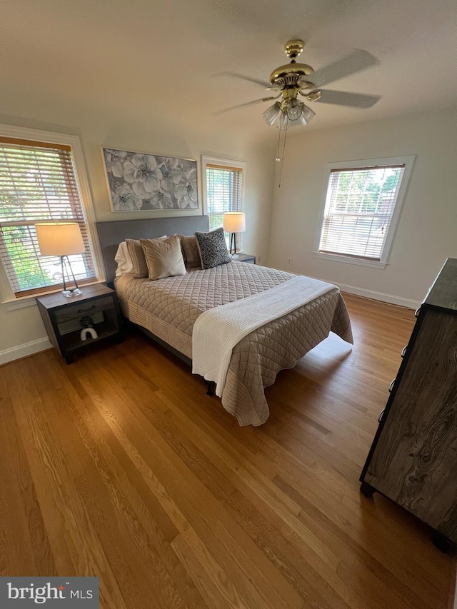 2108 26th St S, Arlington, VA 22206 - bedroom featuring wood finished floors, multiple windows, and ceiling fan