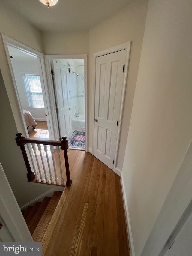 2108 26th St S, Arlington, VA 22206 - entryway featuring wood finished floors and stairway