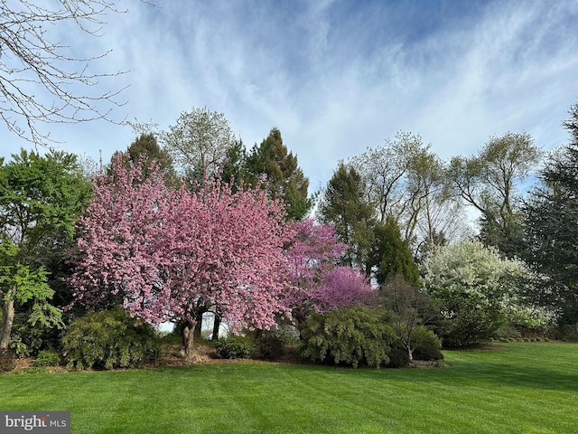3781 Brookcroft Ln, Garnet Valley, PA 19060 - view of green lawn