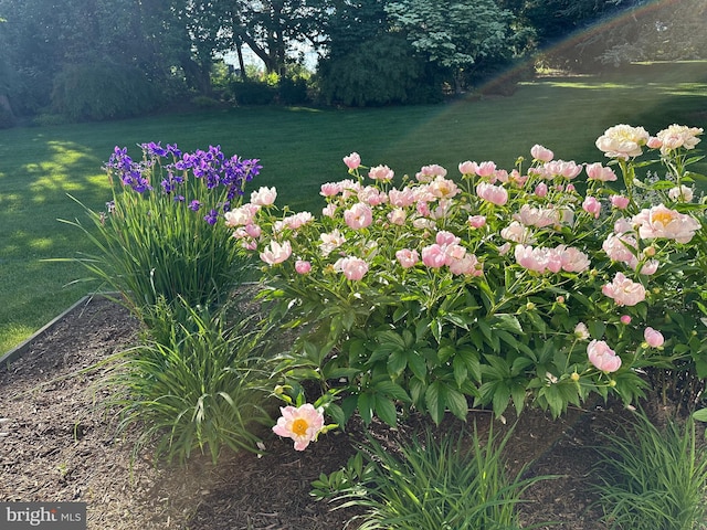 3781 Brookcroft Ln, Garnet Valley, PA 19060 - view of green lawn