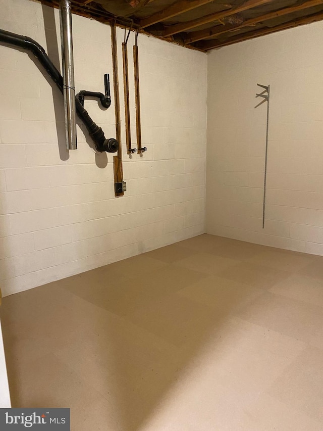 204 Marion Ave, Carlisle, PA 17013 - unfinished below grade area with concrete block wall