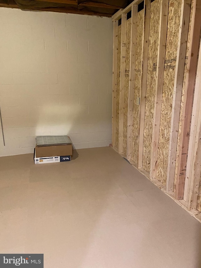 204 Marion Ave, Carlisle, PA 17013 - view of unfinished below grade area