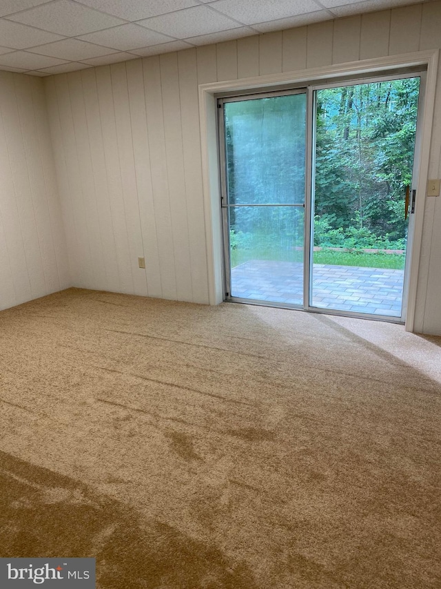 204 Marion Ave, Carlisle, PA 17013 - view of carpeted empty room