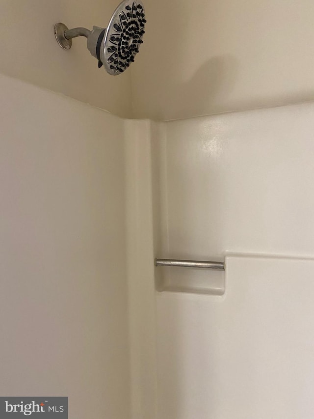 204 Marion Ave, Carlisle, PA 17013 - bathroom view of a shower