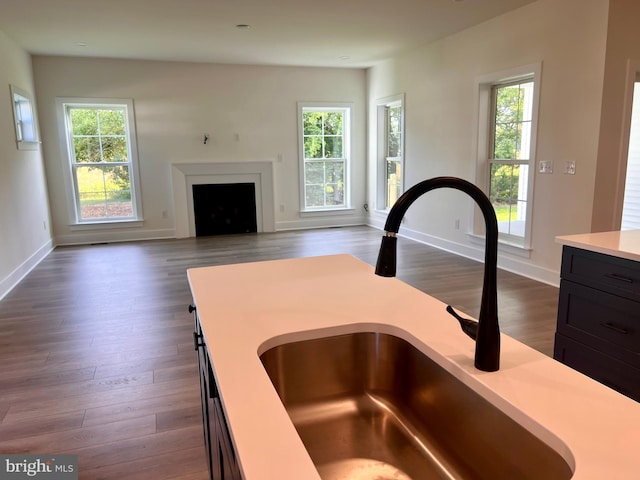 34232 Brenner Ln, Lewes, DE 19958 - kitchen with a sink, light countertops, dark wood-style floors, and a fireplace