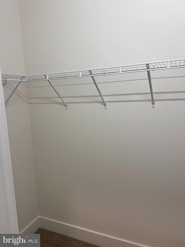 34232 Brenner Ln, Lewes, DE 19958 - walk in closet with dark colored carpet