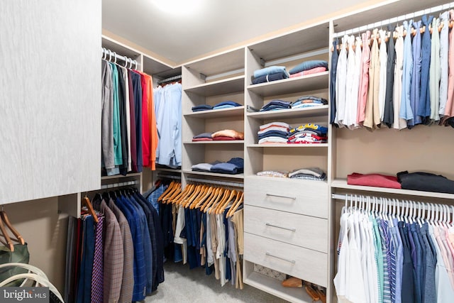 1509 Blakes Legacy Dr, Bel Air, MD 21014 - spacious closet with carpet flooring