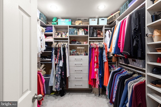 1509 Blakes Legacy Dr, Bel Air, MD 21014 - walk in closet with carpet floors