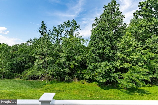 1509 Blakes Legacy Dr, Bel Air, MD 21014 - view of grassy yard
