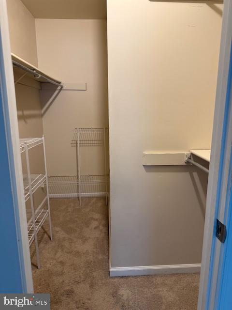 10024 Park Woods Ln, Burke, VA 22015 - walk in closet featuring carpet flooring
