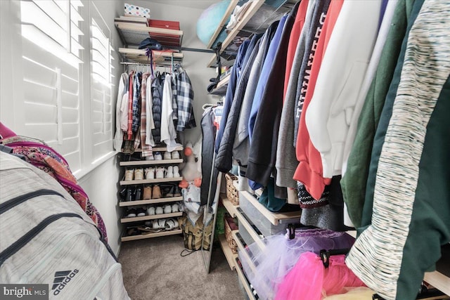 6808 Rehnquist Ct, New Market, MD 21774 - walk in closet featuring carpet
