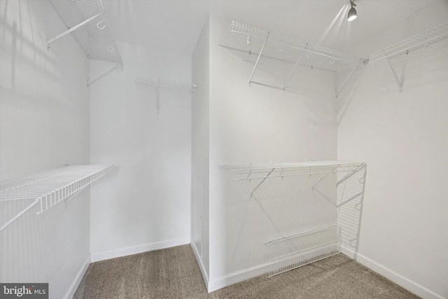 534 Spring Mill Ave, Conshohocken, PA 19428 - walk in closet with carpet floors