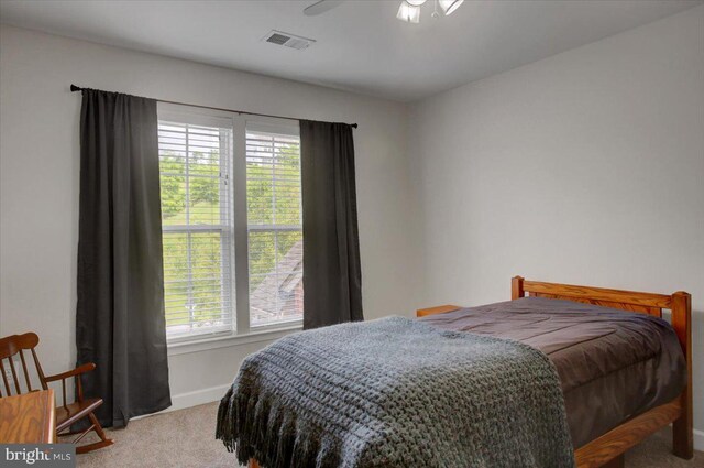 11516 Mystic Rock Ln N, Waynesboro, PA 17268 - bedroom featuring carpet floors and baseboards