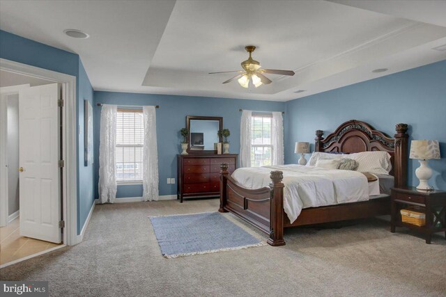11516 Mystic Rock Ln N, Waynesboro, PA 17268 - bedroom with carpet, multiple windows, a raised ceiling, and baseboards