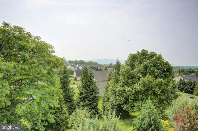 11516 Mystic Rock Ln N, Waynesboro, PA 17268 - view of mountain backdrop