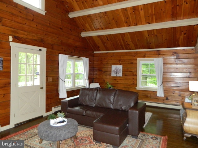 126 Ivy Ln, Lock Haven, PA 17745 - living area with baseboard heating, plenty of natural light, wood finished floors, wooden walls, and wood ceiling