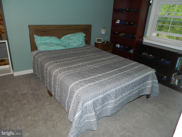 126 Ivy Ln, Lock Haven, PA 17745 - bedroom with carpet and baseboards