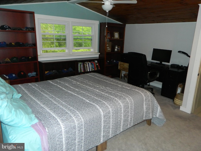 126 Ivy Ln, Lock Haven, PA 17745 - bedroom with lofted ceiling and carpet floors