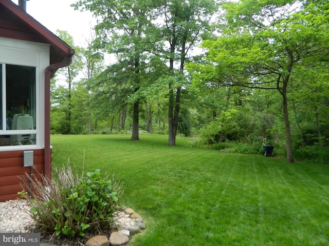 126 Ivy Ln, Lock Haven, PA 17745 - view of grassy yard