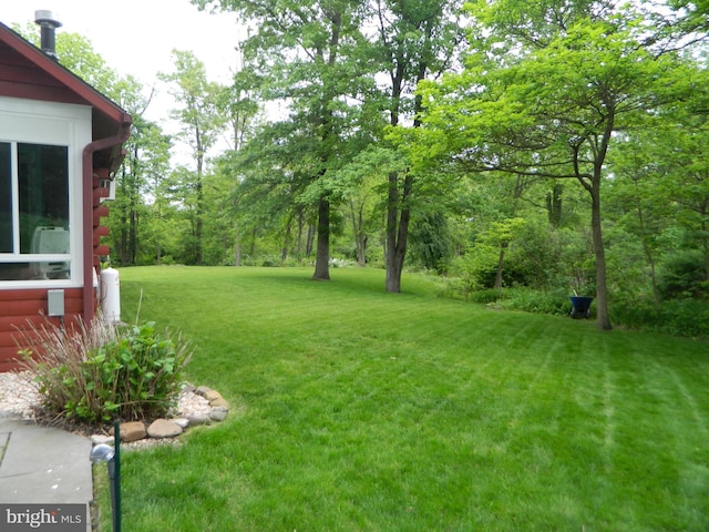 126 Ivy Ln, Lock Haven, PA 17745 - view of grassy yard