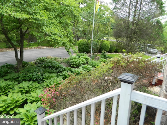 126 Ivy Ln, Lock Haven, PA 17745 - view of yard