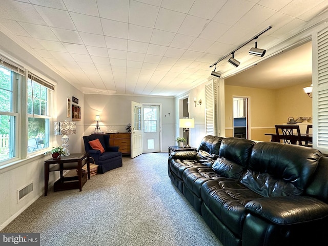113 Sypherd Dr, Newark, DE 19711 - carpeted living area featuring track lighting