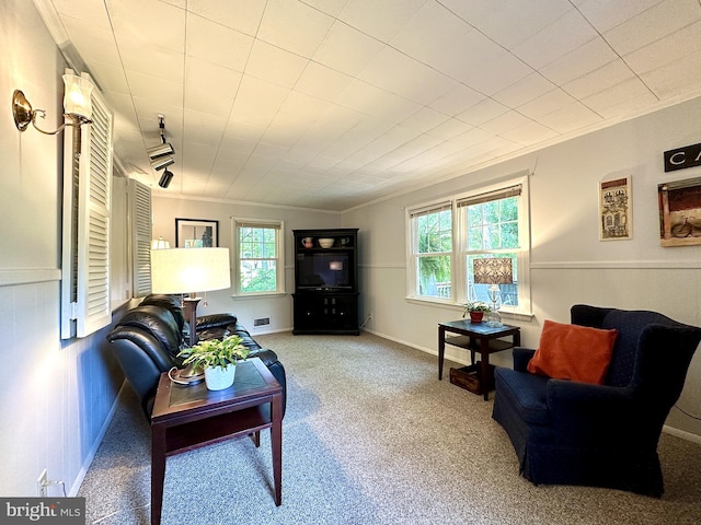 113 Sypherd Dr, Newark, DE 19711 - carpeted living area featuring crown molding, plenty of natural light, and baseboards