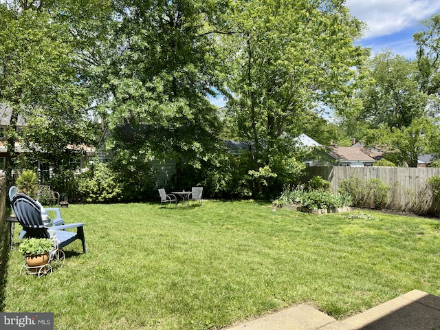 113 Sypherd Dr, Newark, DE 19711 - view of yard